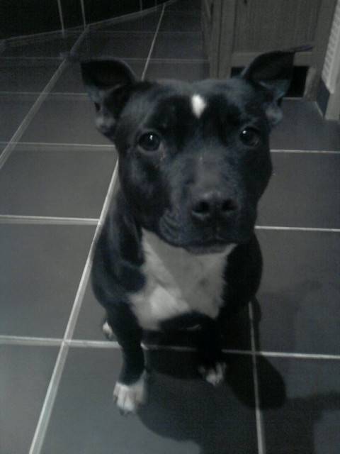 Lou - (2 ans)