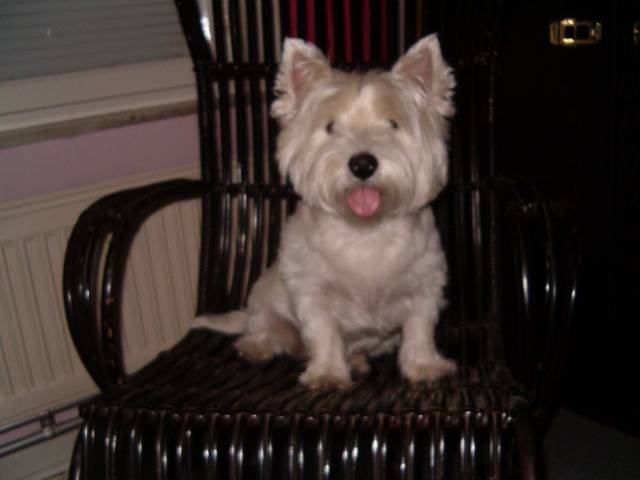 calline dans son rocking chair -