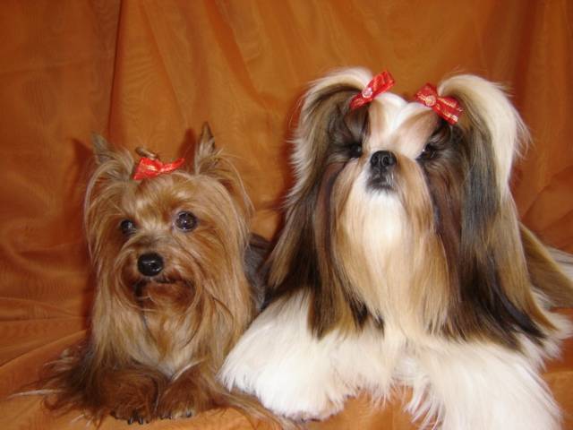 Capucine et Yasmine -