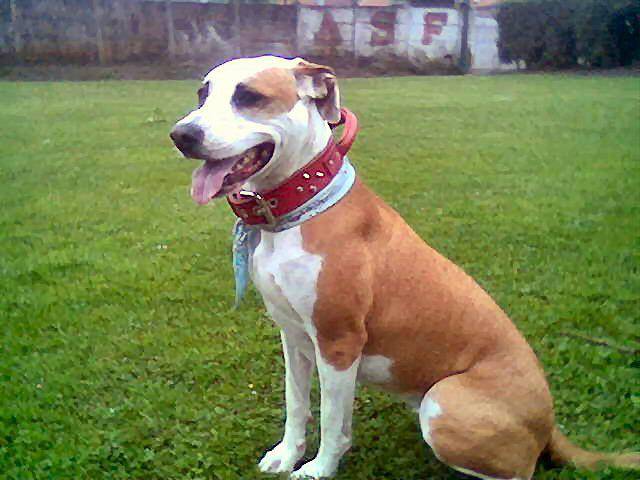 shirley -