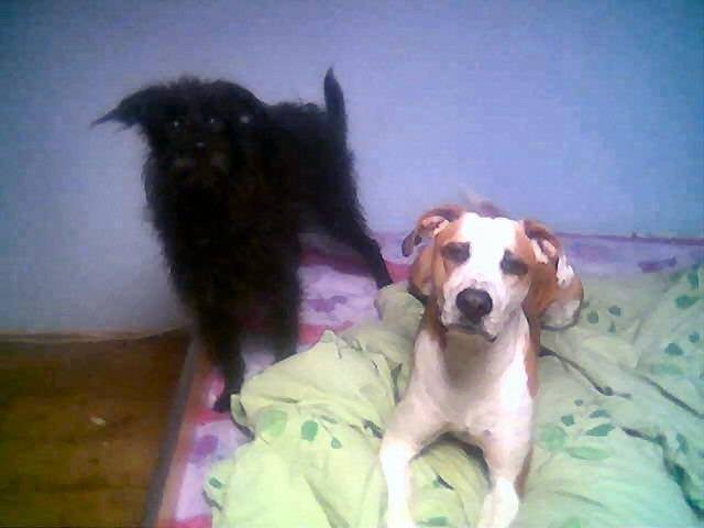 shirley et victor -