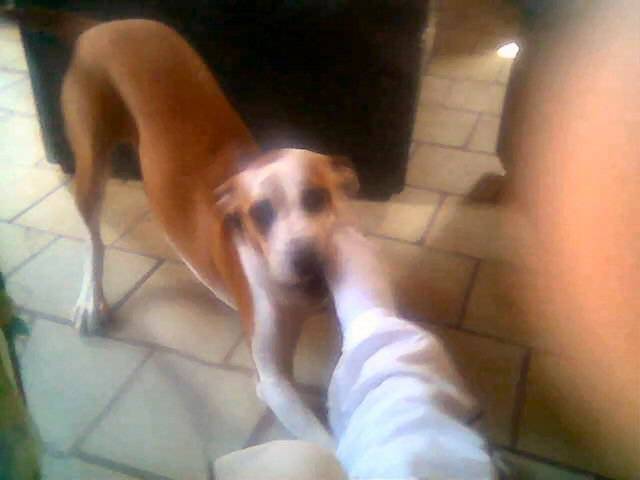 shirley:grrrrr les pieds j'aime po sa -