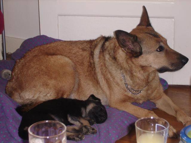 princesse et bella -