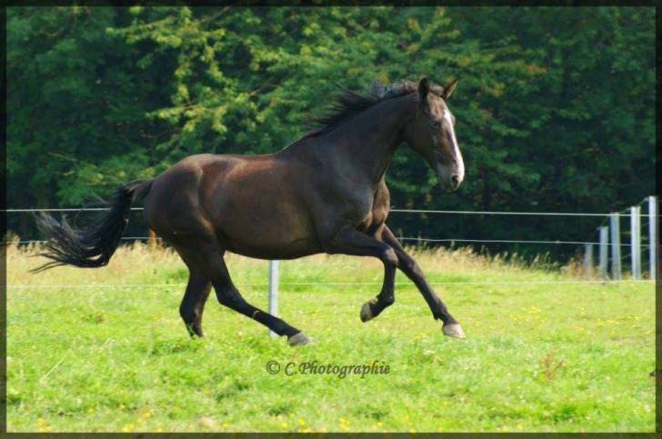 Tsunga - (23 ans)