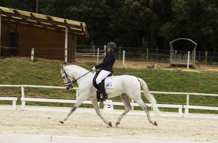 Malagueño XXXIII - Mâle (13 ans)