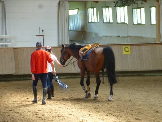 Cesauros und ich - Mâle