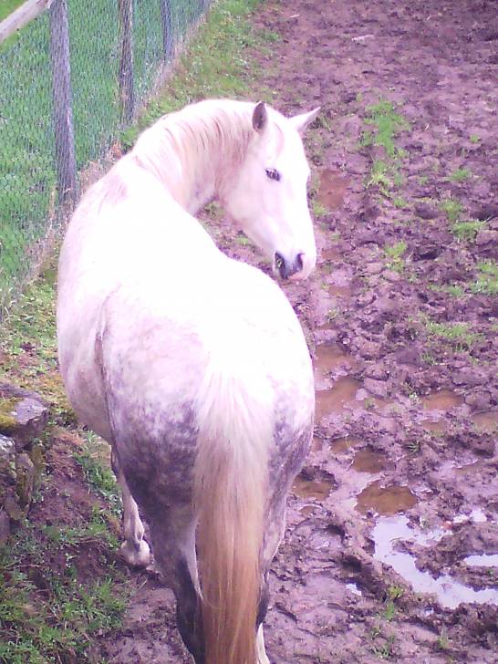 Paloma - (12 ans)