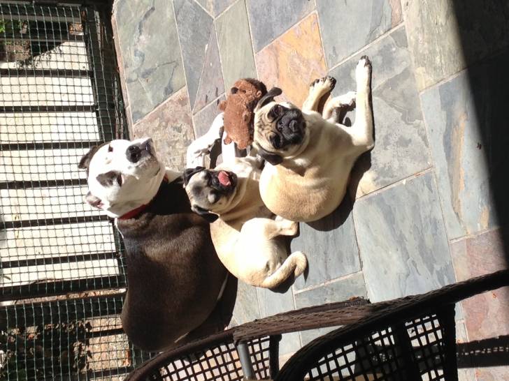 Ellie, Moe, Kate -