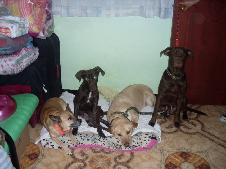 mis bbs - (1 an)
