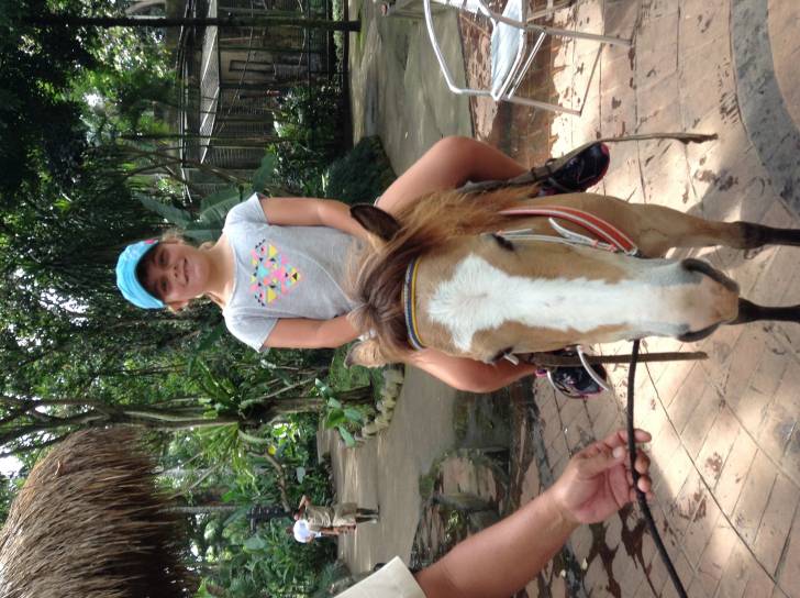 Pony - (6 ans)