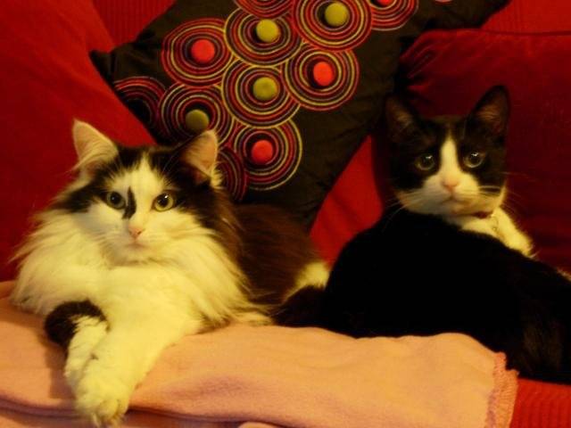 Mercredi et Patton -