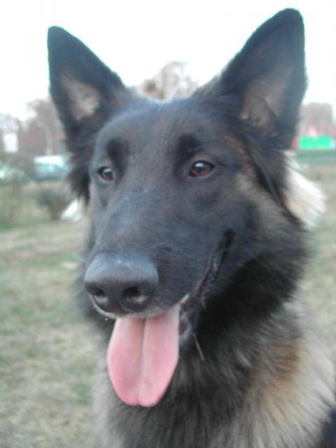 2006_03_18_18_42_06.jpg -