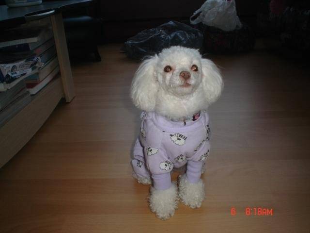 MIA -
