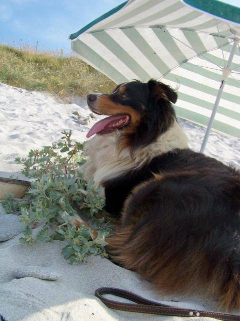Vive les vacances !!!!!! -
