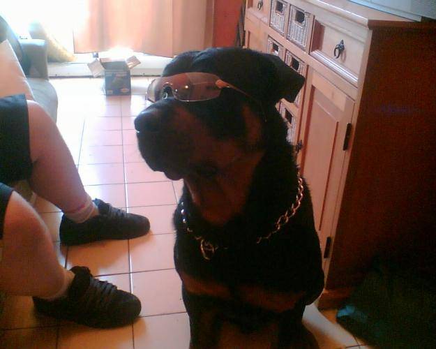 kyser rott -