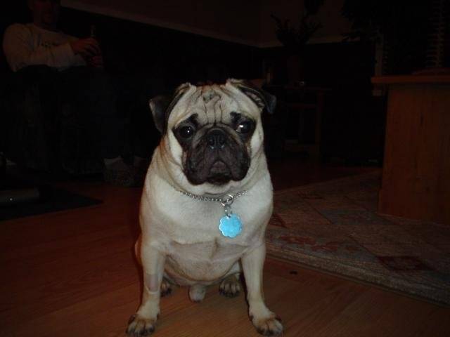 Photo 010.jpg -