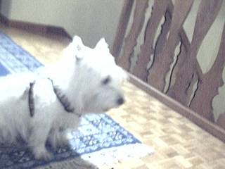 Image 20.jpg -