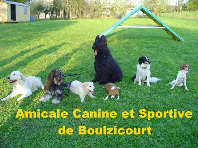 AMICALE CANINE SPORTIVE BOULZICOURT (ACSB) -