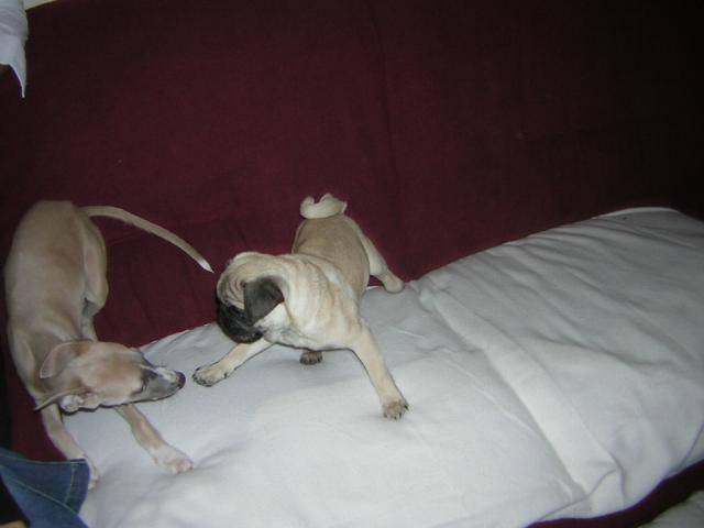 Photo001 021.jpg -