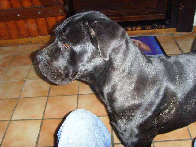 POUR MAUD -