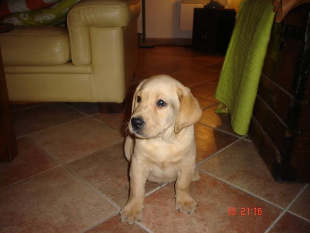 lab, re-custer le destructeur -