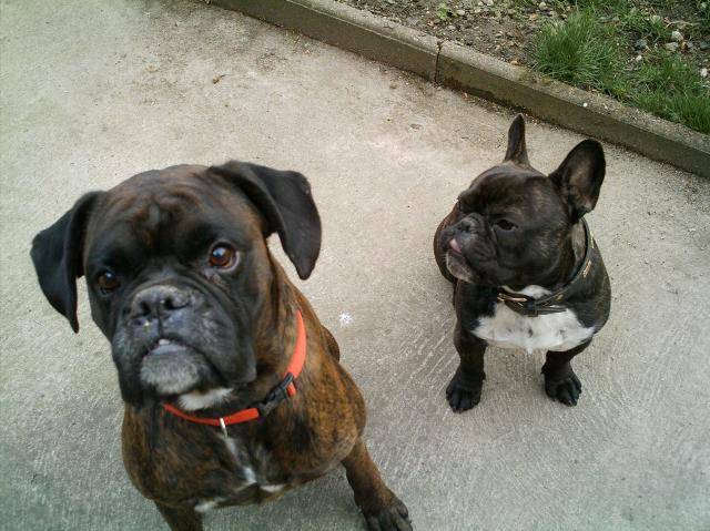mour et nitou.jpg -