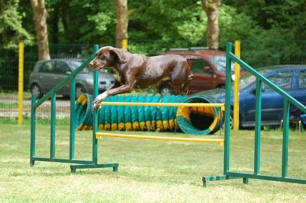 dinna - (2 ans)