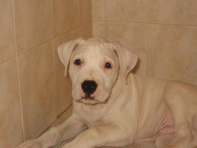 diego 3 mois - (3 mois)