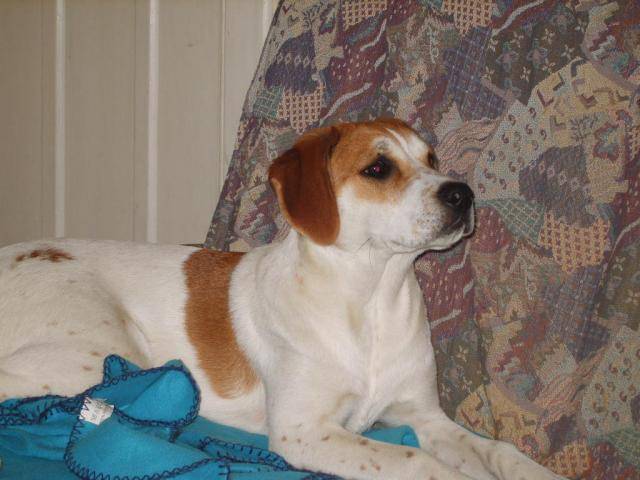 luna, un fameux croisement! -