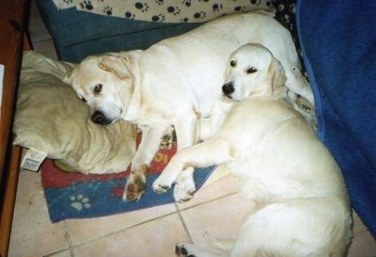 roky et bobby -