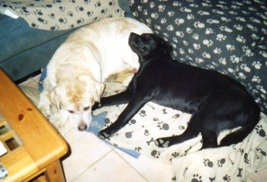 roky et béa -