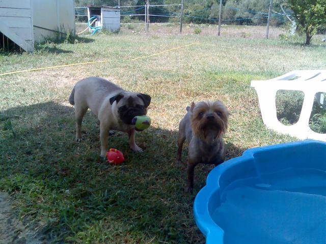 CARLA ET KENZO -
