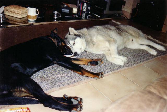 Quito et Felden -