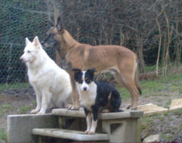 Photo 001.jpg -