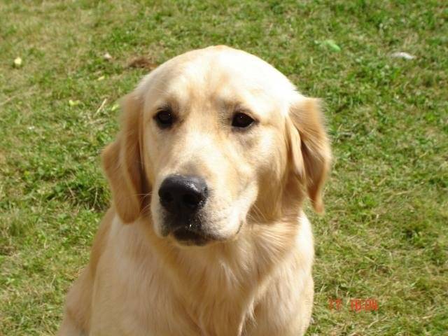 bouba -