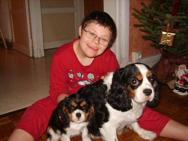 Cavalier king Charles -