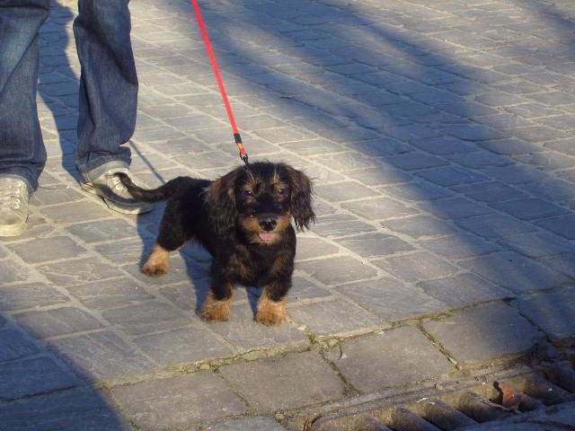 Barnabé -