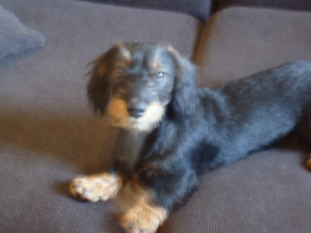 Barnabé -