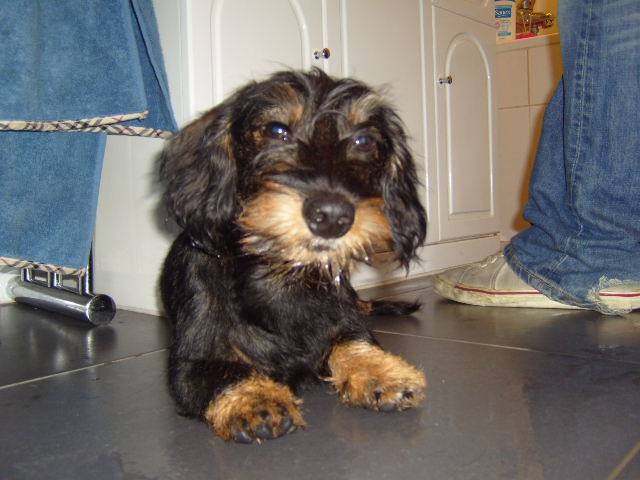 Barnabé -