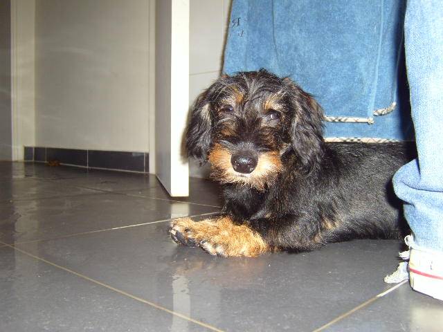 Barnabé -