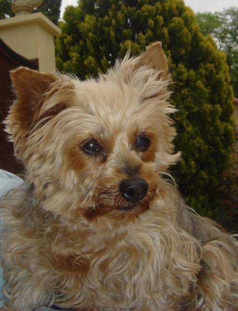 KETTY -