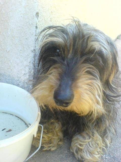 rudie :) -
