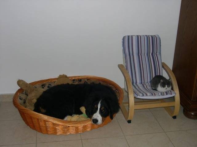 jaelle et ninette -