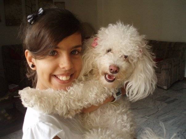 Bichon Muñeca -