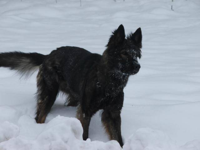 DSCF4537.JPG -