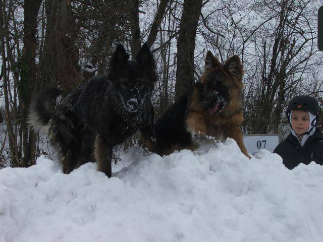 DSCF4565.JPG -