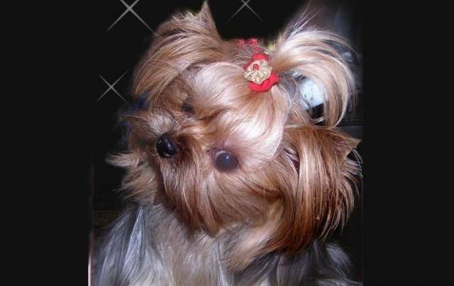 PhotoTest-GRAND.jpg -