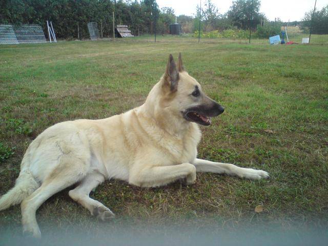 DSC00011.jpg -