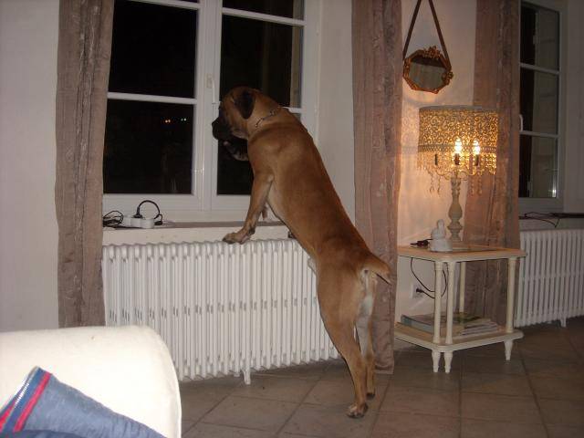 DSCN1469.JPG -