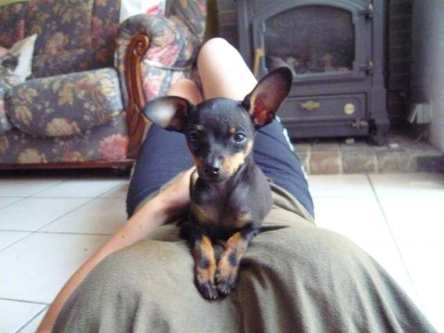 Nina -